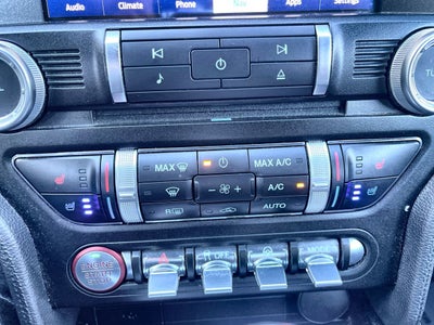 2021 Ford Mustang Mach 1