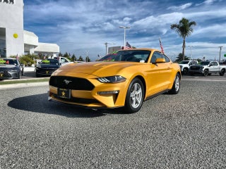 2022 Ford Mustang EcoBoost