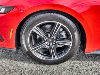 2024 Ford Mustang EcoBoost