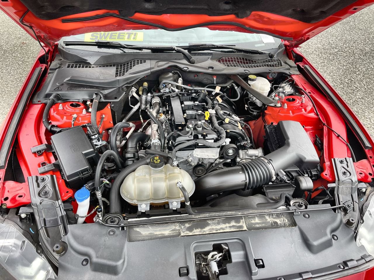 2023 Ford Mustang EcoBoost