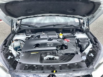 2024 INFINITI QX50 SPORT
