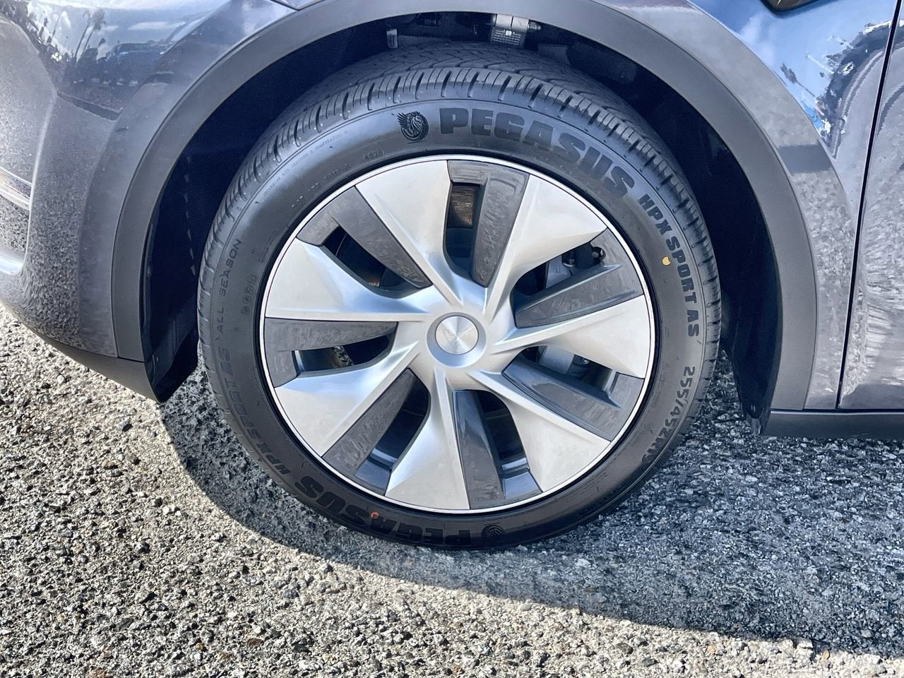 2023 Tesla Model Y RWD